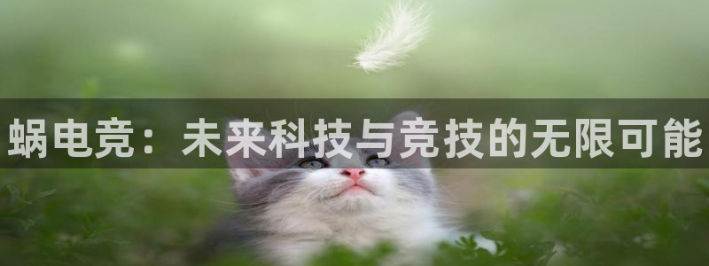 南宫电竞电竞官网登录入口