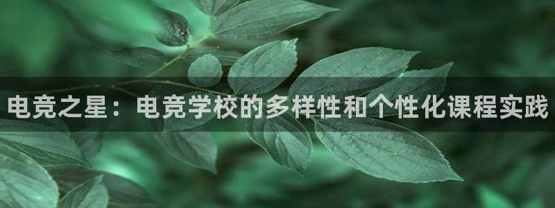 南宫电竞电竞在线入口：电竞之星：电竞学校