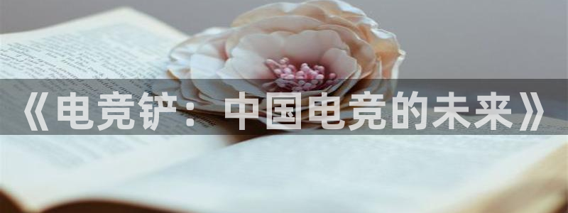 /南宫电竞电竞上yb33丶me：《电竞铲