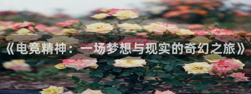 南宫电竞电竞官网手机点即注册43X.移动