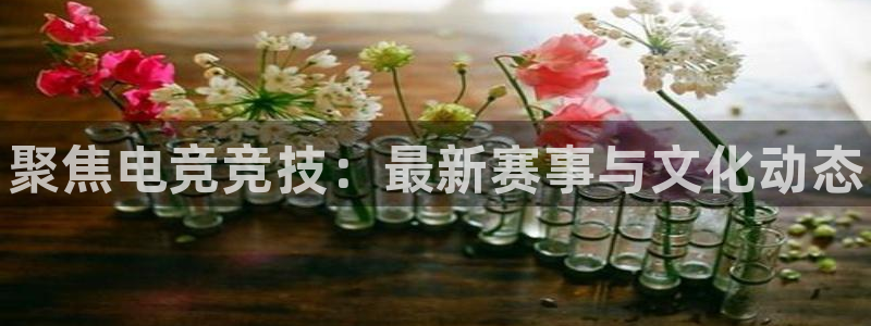 南宫电竞电竞是什么：聚焦电竞竞技：最新赛