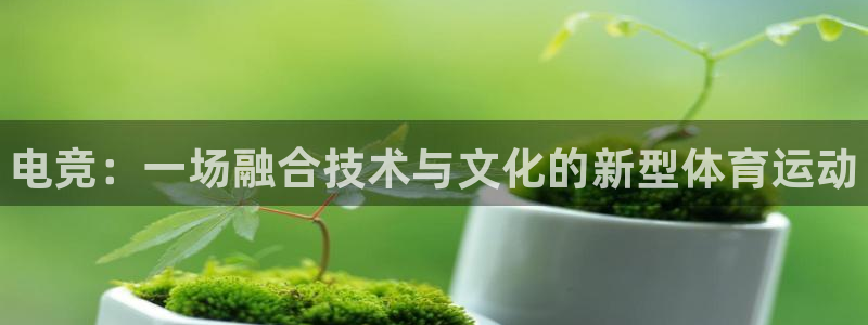 南宫电竞电竞类似：电竞：一场融合技术与文
